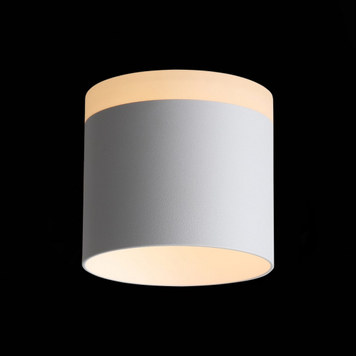 ST102.502.12 Светильник потолочный Белый LED 1*12W 3000K 936Lm Ra>80 120° IP20 D100xH90 170-240V - фото, цена