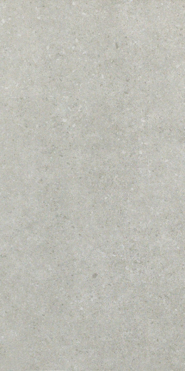 Аурис Графит 30X60 Рет
