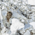 Керамогранит Vitra CityMarble Амазония Мультиколор 60x120