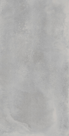 Астро Сильвер 60X120 Рет
