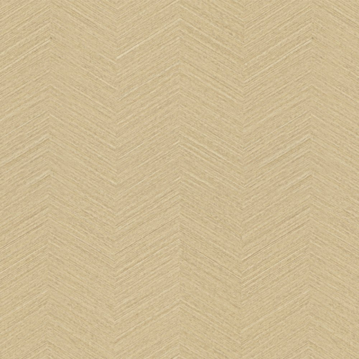 AP6508