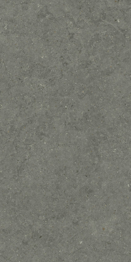 Форум Стоун Айрон 60X120