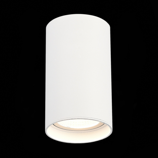 ST157.542.20 Светильник потолочный Белый LED 1*20W 4000K 1 600Lm Ra>90 60° IP44 D95xH150 220-265V - фото, цена