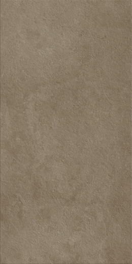 Фоссил Дезерт 60X120 Рет Х2