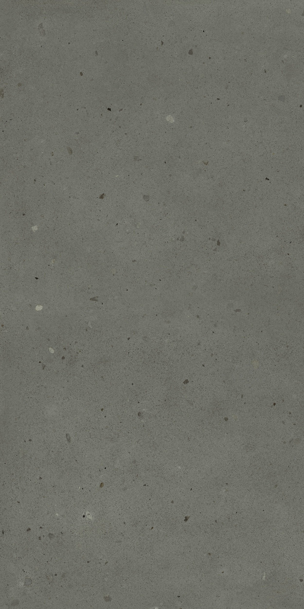Авангард Блэк 60X120 Рет