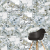 Керамогранит Vitra CityMarble Амазония Мультиколор 60x60