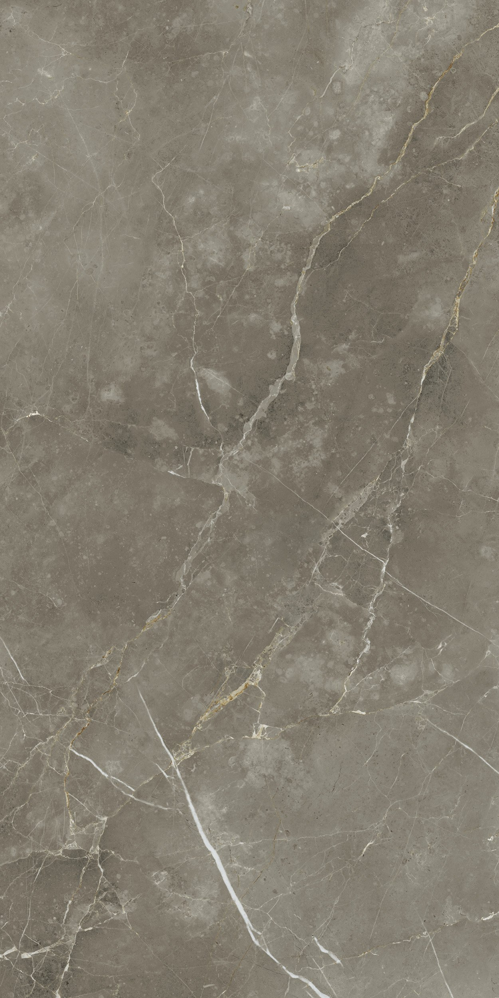 Стелларис Тусканиа Грэй 60X120 Шлиф