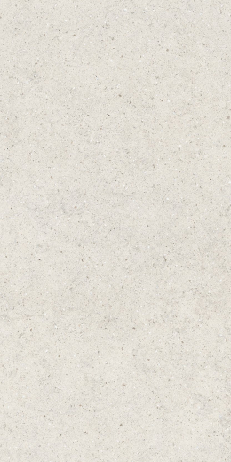 Форум Стоун Полар 60X120