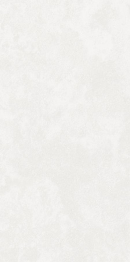 Керамогранит Kerranova Централ Парк Park White Matt. 60x120