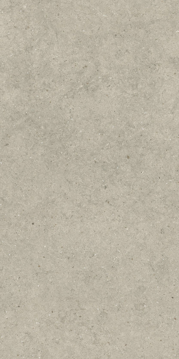 Форум Стоун Дезерт 60X120