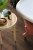 LVT-плитка Moduleo клеевой кварцвинил Roots 55 EIR Galway Oak 87863Q