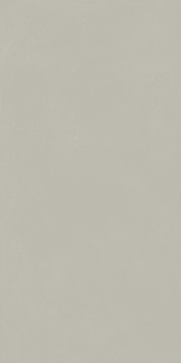 Форум Слим Сильвер 60X120