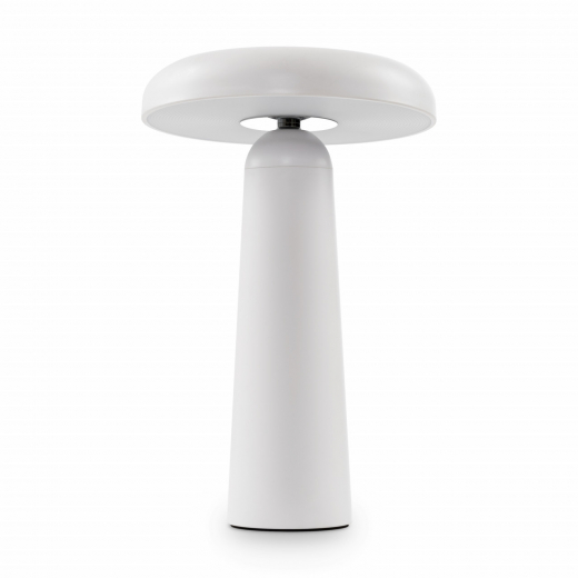 Аккумуляторный светильник Гриб / Mushroom - фото, цена