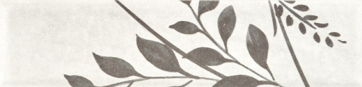 Керамогранит Motto Levels Dimgrey Decor 1 Matt 6x25