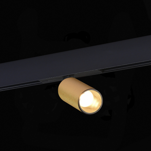 ST807.236.12 Магнитный трековый светильник Золотистый LED 1*12W 3000K 500Lm Ra>90 IP20 D50xH173 48VV - фото, цена