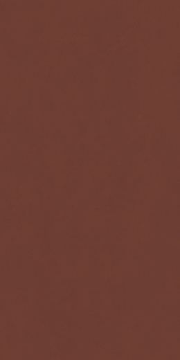 Серфейс Эксклюзив Рэд 80X160 Рет