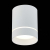 ST115.542.12 Светильник потолочный Белый LED 1*12W 4000K 840Lm Ra>90 120° IP20 D79xH100 170-240V - фото, цена