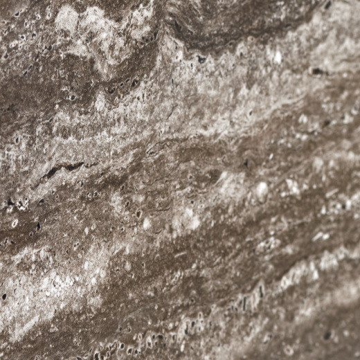 Керамогранит Neodom Stone Asian Nero Polished 60x120