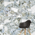 Керамогранит Vitra CityMarble Амазония Мультиколор 60x120