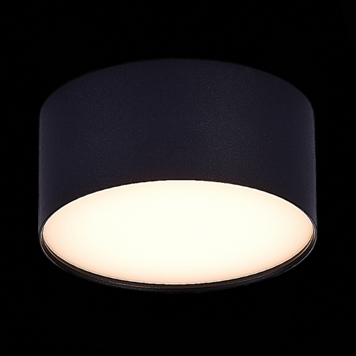 ST606.432.12 Светильник потолочный Черный LED 1*12W 3000K 1 080Lm Ra>85 120° IP20 D120xH55 185-265V - фото, цена