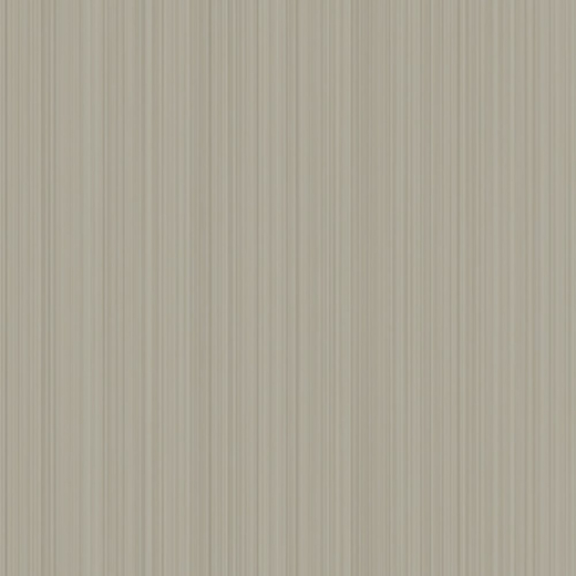 AP1007