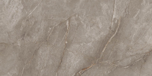 Керамогранит Neodom Marble Orobico Brown Polished 60x120