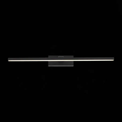 SL446.471.01 Подсветка для картин ST-Luce Черный/Черный LED 1*12W 3000K - фото, цена