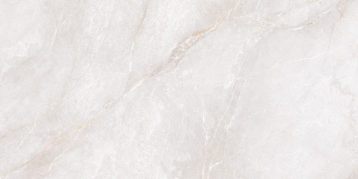Керамогранит Neodom Marble Orobico Bianco Polished 60x120