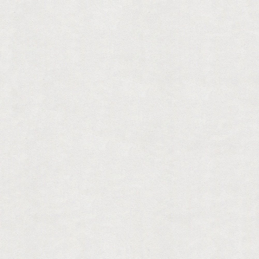 AP1003